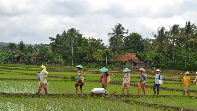 Aktivitas di Desa Ganang Pusako 2